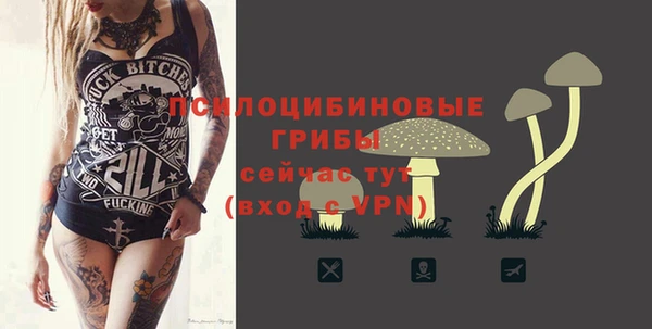 Альфа ПВП Армянск