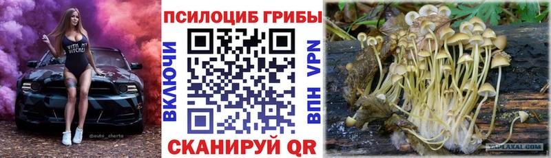 Галлюциногенные грибы Magic Shrooms KRAKEN сайт Саяногорск